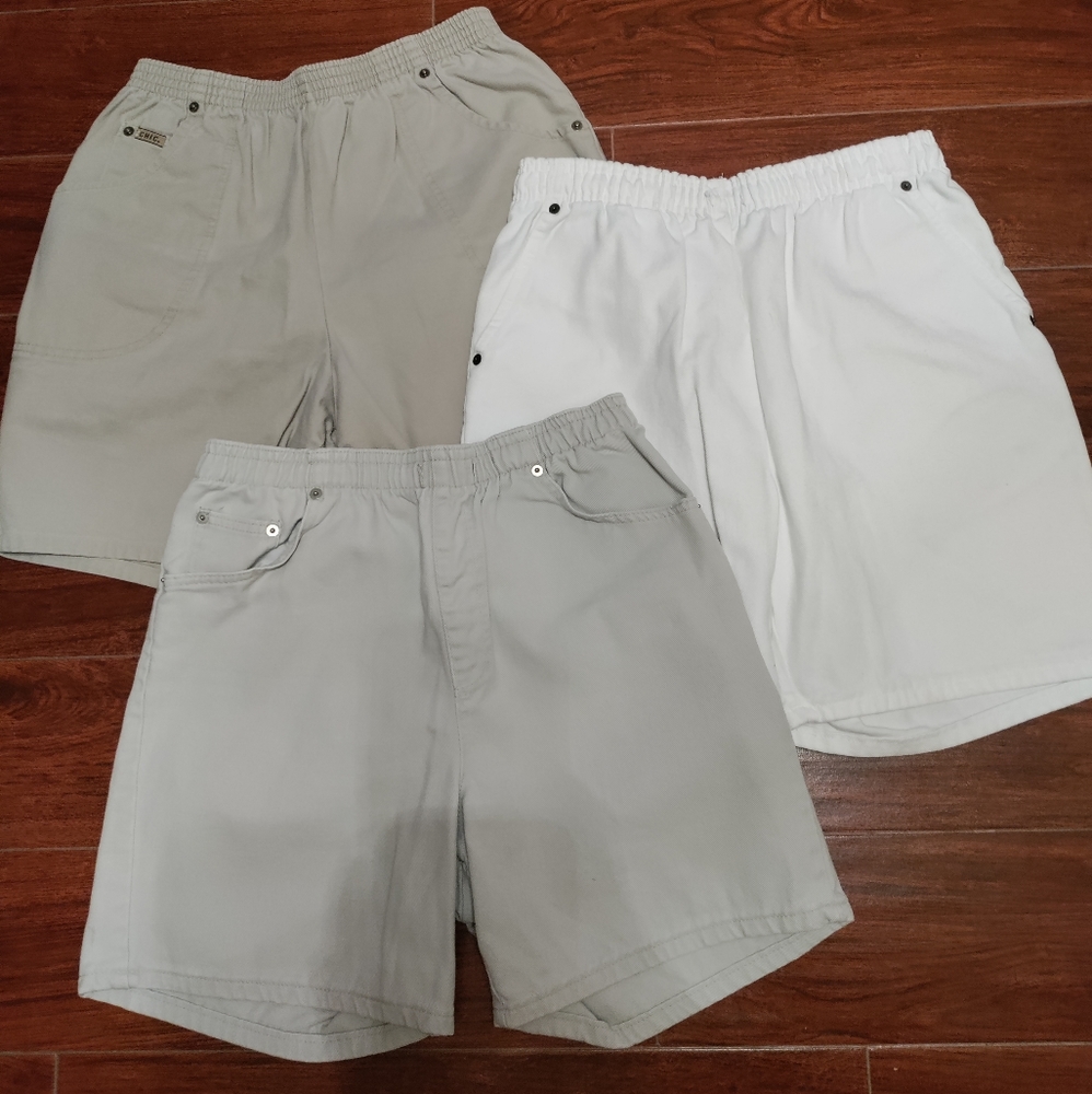 3 Elastic Waist Shorts